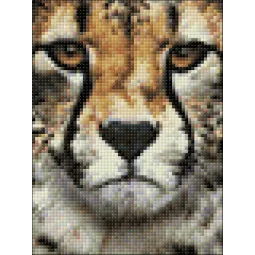 (D) Hunter's Look 15*20 cm WD285