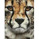 (D) Hunter's Look 15*20 cm WD285