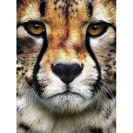 (D) Style Chasseur 15*20 cm WD285