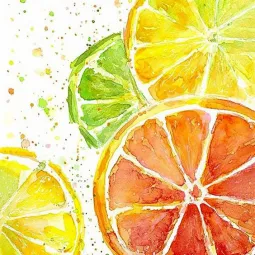 (D) Citrus Mix 20*20 cm WD289
