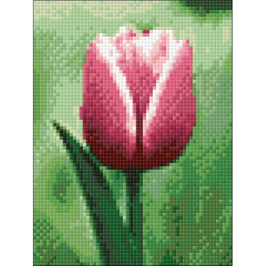 Tulip 15*20 cm WD300