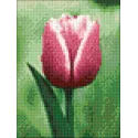 Tulip 15*20 cm WD300