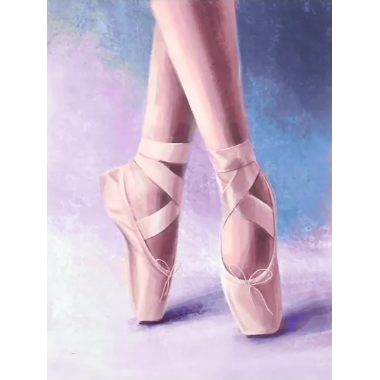(D) Pointe shoes 30*40 cm WD3002