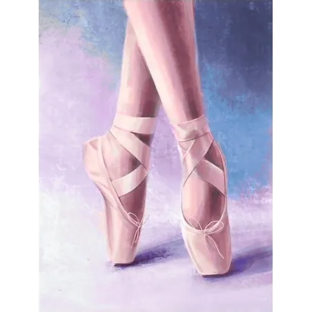 Pointe shoes 30*40 cm WD3002