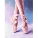 (D) Pointe Schuhe 30*40 cm WD3002