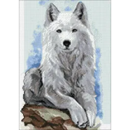 (D) Grey Wanderer 27*38 cm WD2510