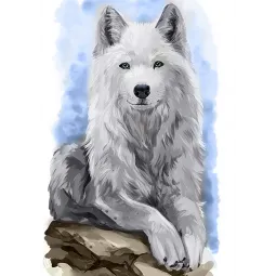 (D) Gris Wanderer 27*38 cm WD2510