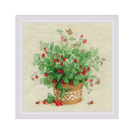 Strawberries in a pot SR1984