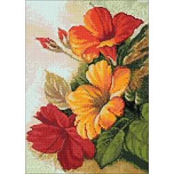 (D) Explosion de fleurs 27*38 cm WD017