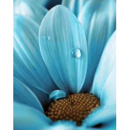 AUSVERKAUF (Auslaufartikel) Blue Drop 38 х 48 cm WD020