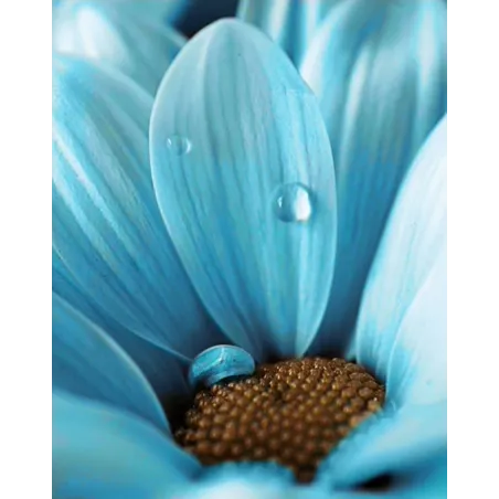 AUSVERKAUF (Auslaufartikel) Blue Drop 38 х 48 cm WD020