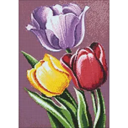(D) Tulpių aromatas 27*38 cm WD021