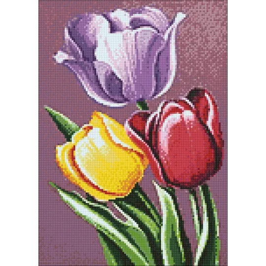 Tulpenaroma 27*38 cm WD021