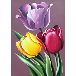 (D) Tulpių aromatas 27*38 cm WD021