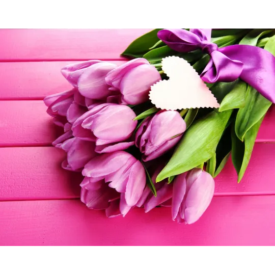 SALE (Discontinued) Tulips and Love 48*38 cm WD022