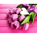 SALE (Discontinued) Tulips and Love 48*38 cm WD022