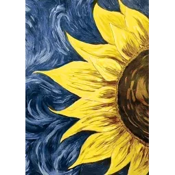 (D) Saulės energija 20*30 cm WD030