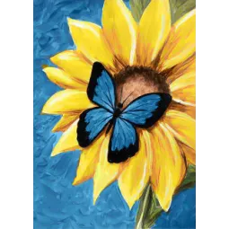 (D) Butterfly and Sunflower 27*38 cm WD031