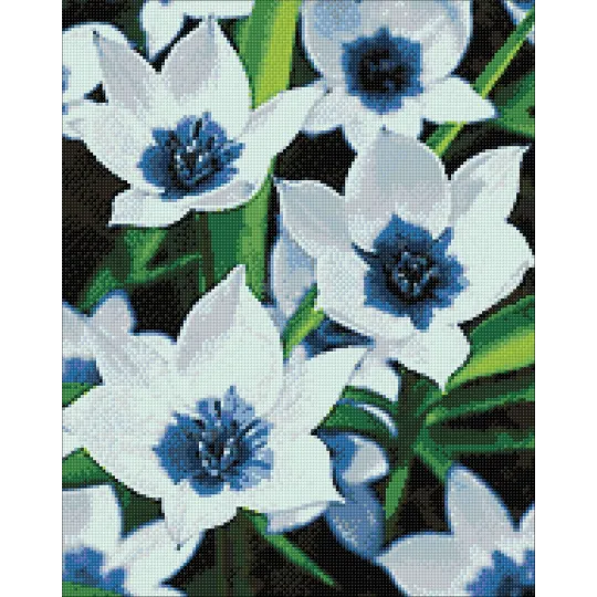 VENTE (Discontinué) Tulipes Oeil Bleu 38*48 cm WD034