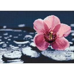 Orchidée Wanda 38*27 cm WD035