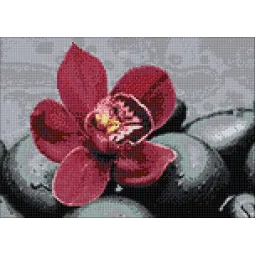 Royal Orchid 38*27 cm WD036