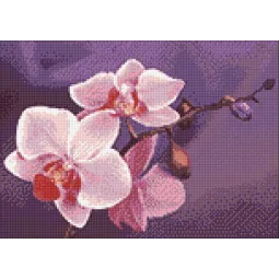 Ast Orchideen 38*27 cm WD038