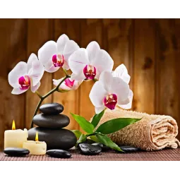 Aromatherapy 48*38 cm WD039