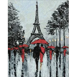 (D) Paris im Regen 38*48 cm WD156