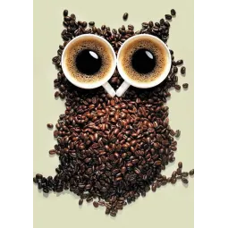 (D) Coffee Owl 20 х 30 cm WD242