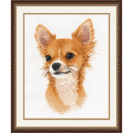 VENTE Little Friend. Chihuahua S1001