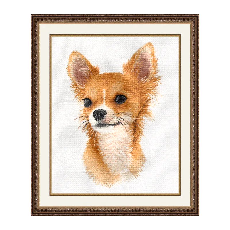 SALE Kleiner Freund. Chihuahua S1001