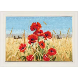 Été, champ, coquelicots S1010