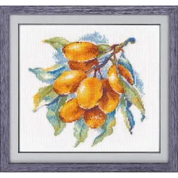 Bernsteinbeere S1091