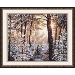 Šerkšnas ir saulės spinduliai S1166