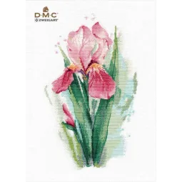 Rožinis irisas S1424