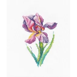 Fleur arc-en-ciel S1425