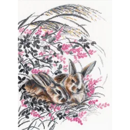 Кролики S1428