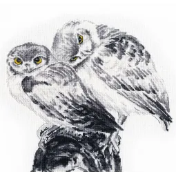 Owls in Love S1272