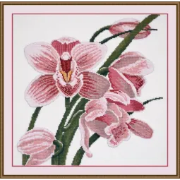 (Nutraukta) Orchidėja S762