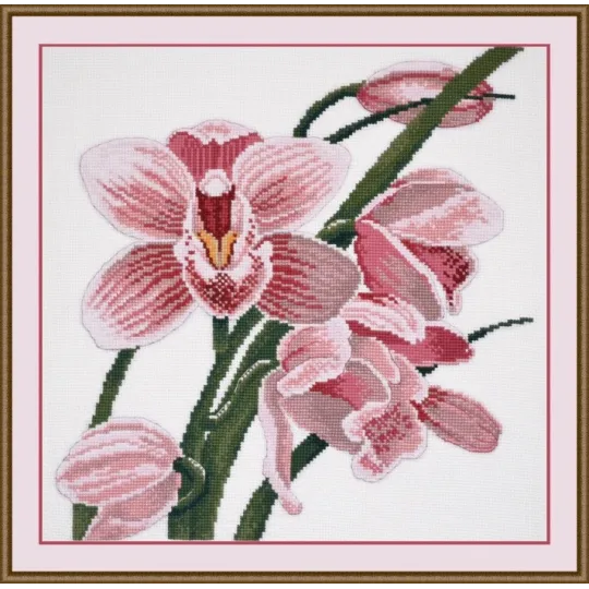 (Eingestellt) Orchidee S762