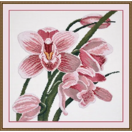 (Eingestellt) Orchidee S762