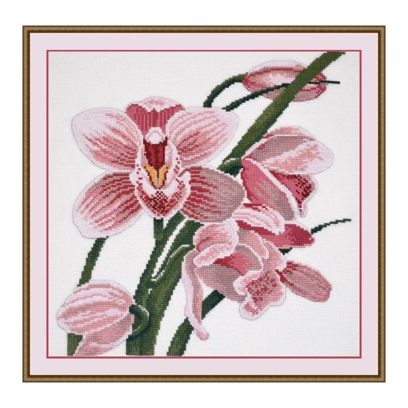 (Eingestellt) Orchidee S762