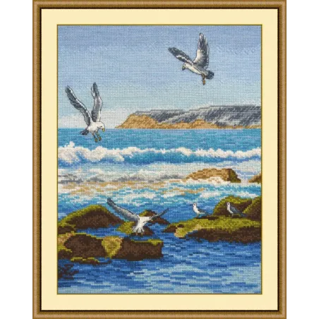 VENTE Sea Surf S816 (D)