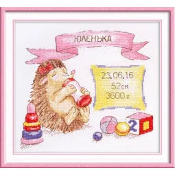 SALE Hedgehog Sampler (girl) S914 (D)