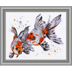 SALE Schleierfische S960 (D)