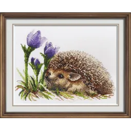 SALE Frühlingserwachen S885 (D)