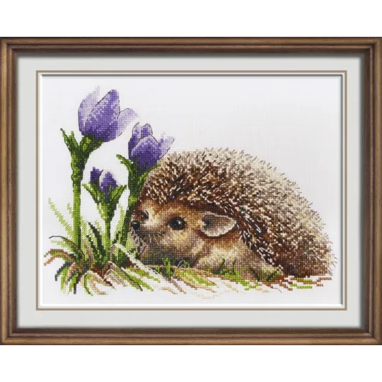 VENTE Spring Awakening S885 (D)