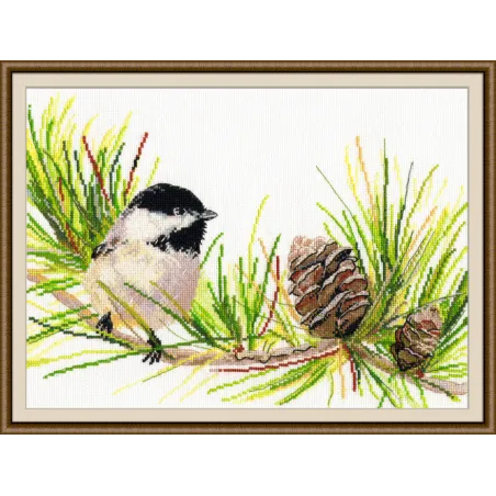 Chickadee S976