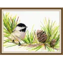 Chickadee S976