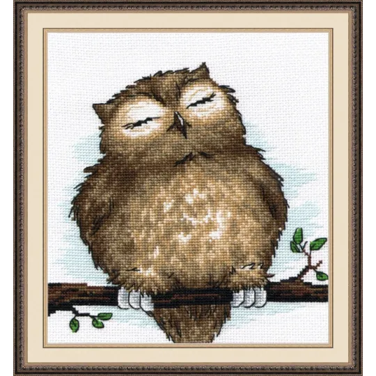 (Eingestellt) Owl Dream S729